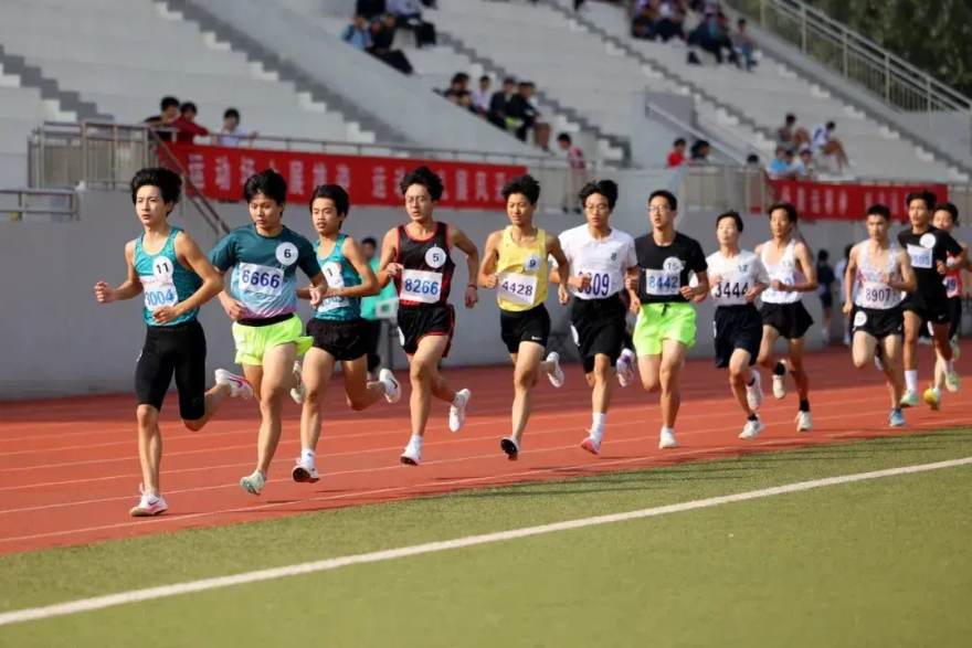 天下足球网 深夜看球的人：一份普通球迷的站内阅读路线图